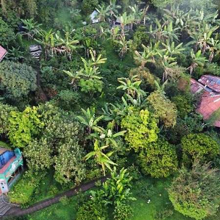 Finca Neblina Del Bosque Estelí Extérieur photo