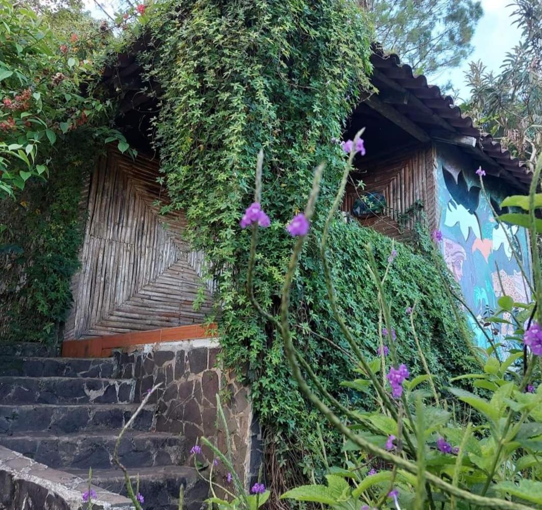 Finca Neblina Del Bosque Estelí Extérieur photo